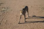 galleries/namibia-04.2013-1557