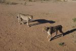 galleries/namibia-04.2013-1559