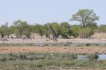galleries/namibia-04.2013-2151