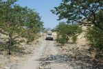galleries/namibia-andrzej-004262