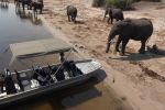 Botswana Safari - Sylwester 2022 w Afryce