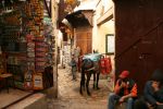 galleries/maroko-pietrzyk-001080