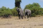 galleries/namibia-04.2013-2369