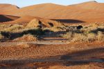 galleries/namibia-andrzej-001184