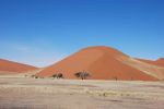 galleries/namibia-andrzej-001352