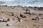 galleries/namibia-andrzej-002029