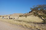 galleries/namibia-andrzej-002302