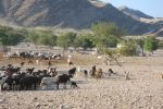 galleries/namibia-andrzej-002309
