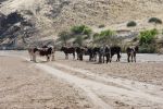 galleries/namibia-andrzej-002371