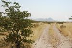 galleries/namibia-andrzej-002566