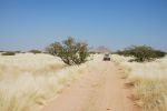 galleries/namibia-andrzej-002608