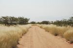 galleries/namibia-andrzej-002612