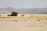 galleries/namibia-andrzej-002628