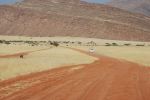 galleries/namibia-andrzej-004091