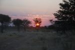 galleries/namibia-andrzej-004422