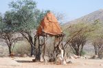 galleries/namibia-andrzej-004497