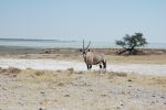 galleries/namibia-andrzej-004719