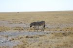 galleries/namibia-andrzej-004756