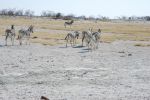 galleries/namibia-andrzej-004762