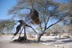 galleries/namibia-andrzej-004843