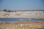 galleries/namibia-andrzej-004847