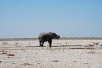 galleries/namibia-andrzej-004907