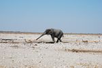 galleries/namibia-andrzej-004922
