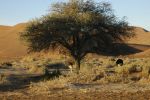 galleries/namibia-michal-001035