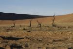 galleries/namibia-michal-001047