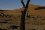 galleries/namibia-michal-001055