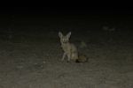 galleries/namibia-michal-001154