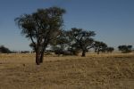 galleries/namibia-michal-002013