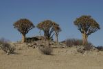 galleries/namibia-michal-002069