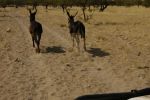 galleries/namibia-michal-009062