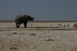 galleries/namibia-michal-010101